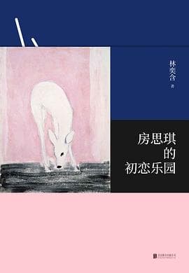 《房思琪的初恋乐园》封面 - 📖 书籍