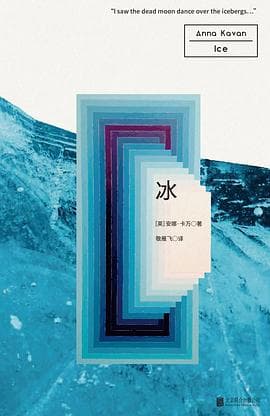 《冰 (安娜·卡万)》封面 - 📖 书籍
