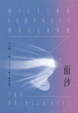 《面纱》封面 - 📖 书籍