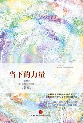 《当下的力量》封面 - 📖 书籍