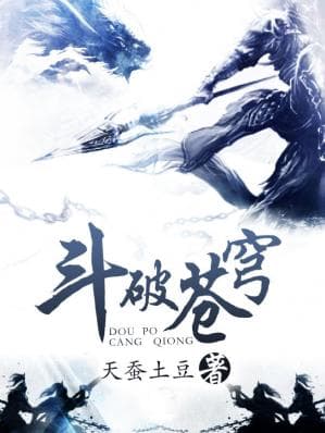 《斗破苍穹》封面 - 📖 书籍