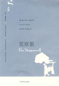 《荒原狼》封面 - 📖 书籍