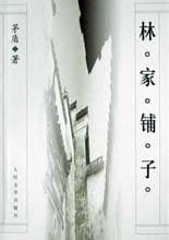 《《林家铺子》别把它当商战小说看》封面 - 📖 书籍